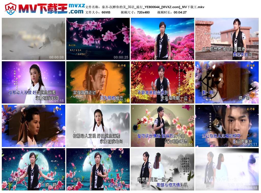 秦齐-沉醉你的美_国语_流行_YE800644